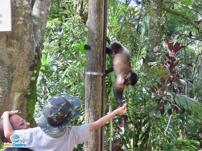 Fonte dos Amores - Poços de Caldas-MG