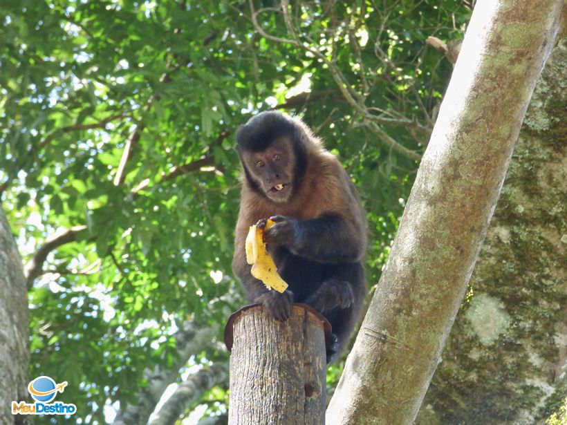 Fonte dos Amores - Poços de Caldas-MG