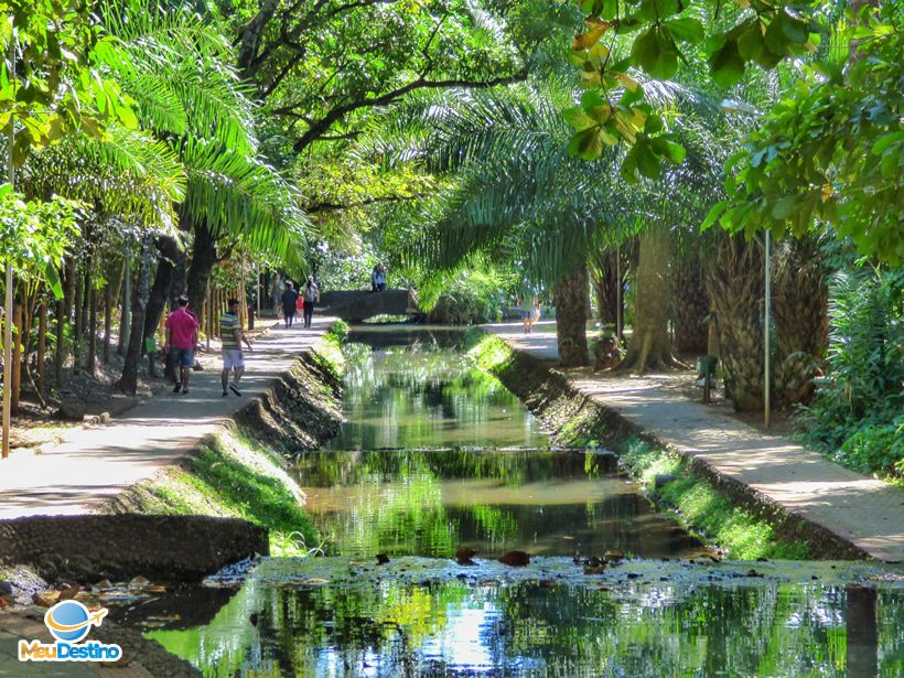 Bosque dos Buritis - O que fazer em Goiânia-GO