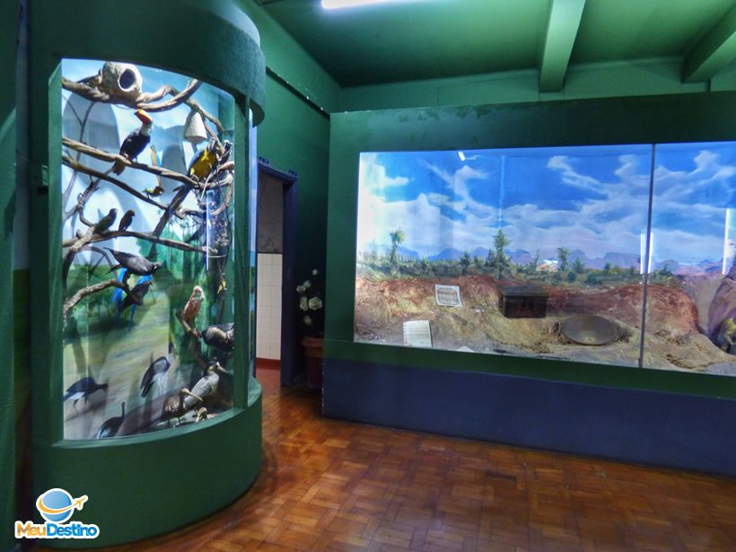 Museu Goiano Zoroastro Artiaga - Goiânia-GO