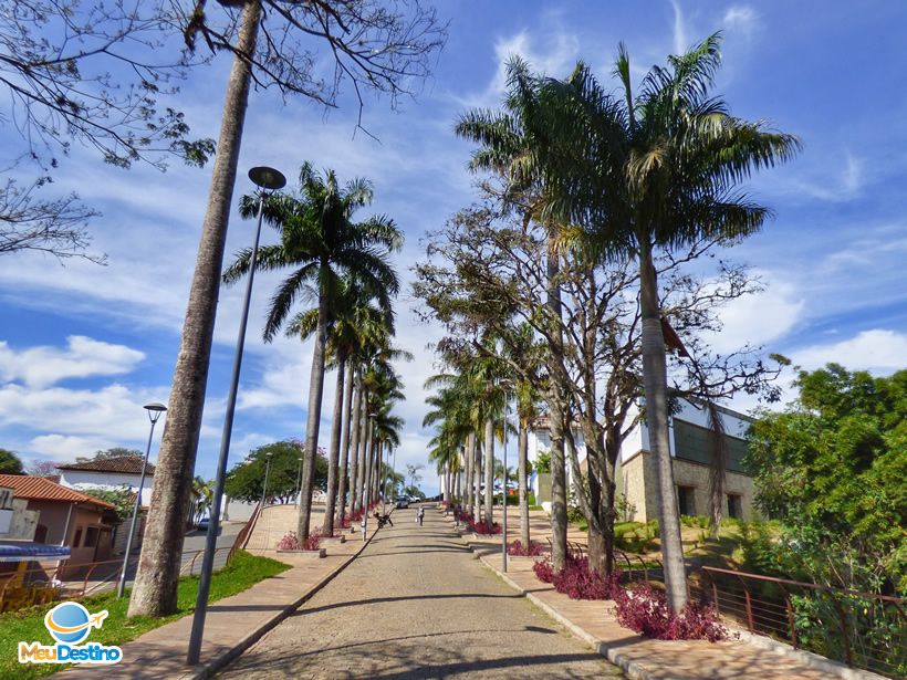 Alameda as Palmeiras