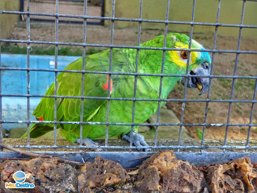 Zoológico de Goiânia-GO