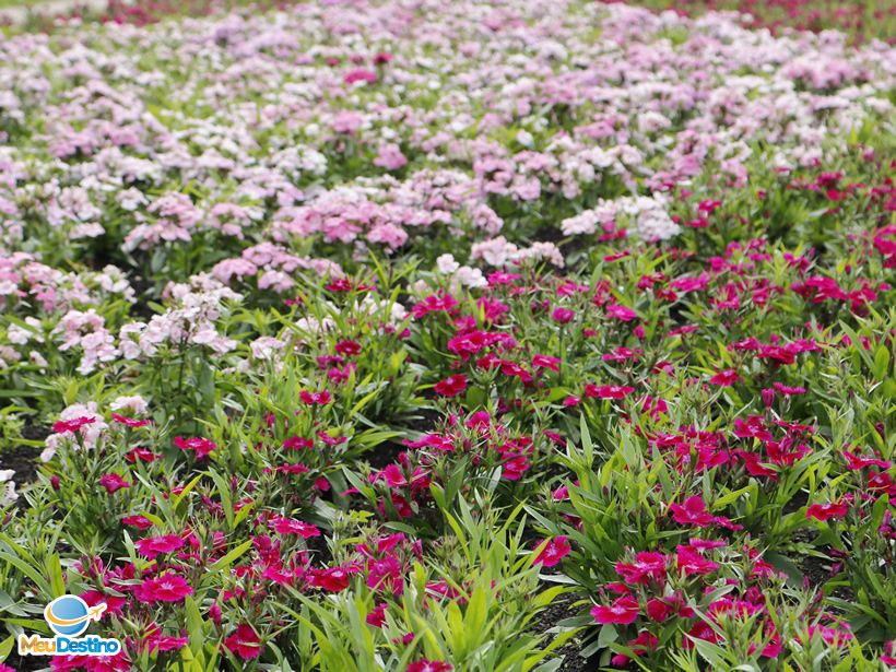 Jardins bem cuidados do parque