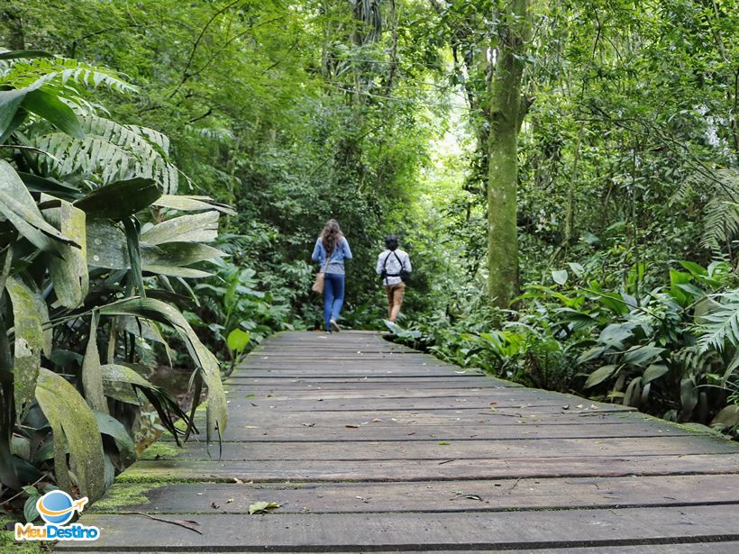 Bosque Zaninelli (Unilivre)