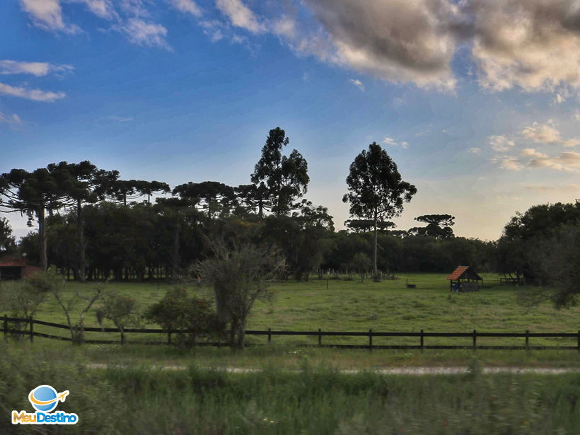 Passeio de Trem em Morretes até Curitiba-PR