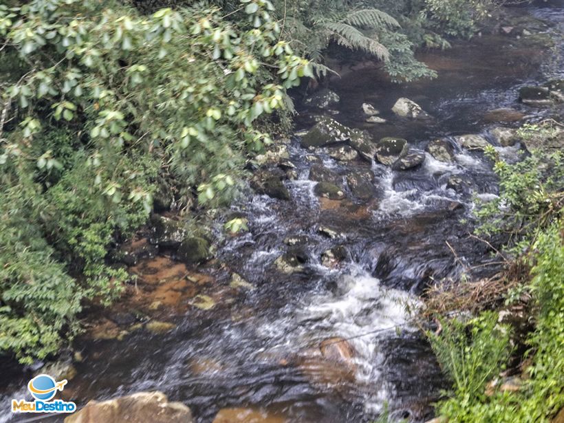 Passeio de Trem em Morretes até Curitiba-PR