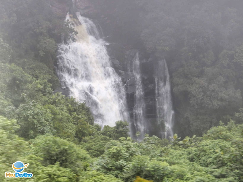 Passeio de Trem em Morretes até Curitiba-PR