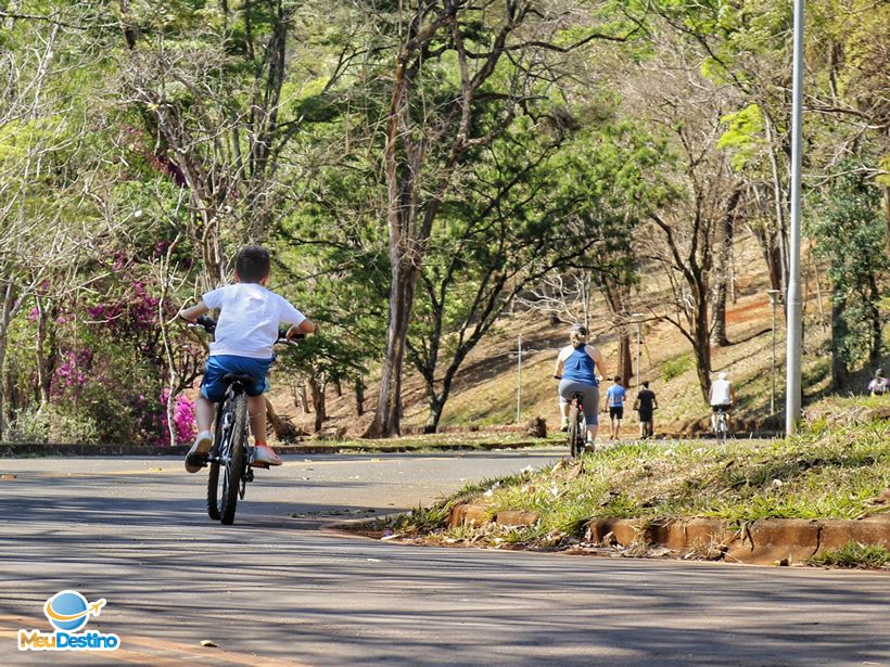 Bicicletas