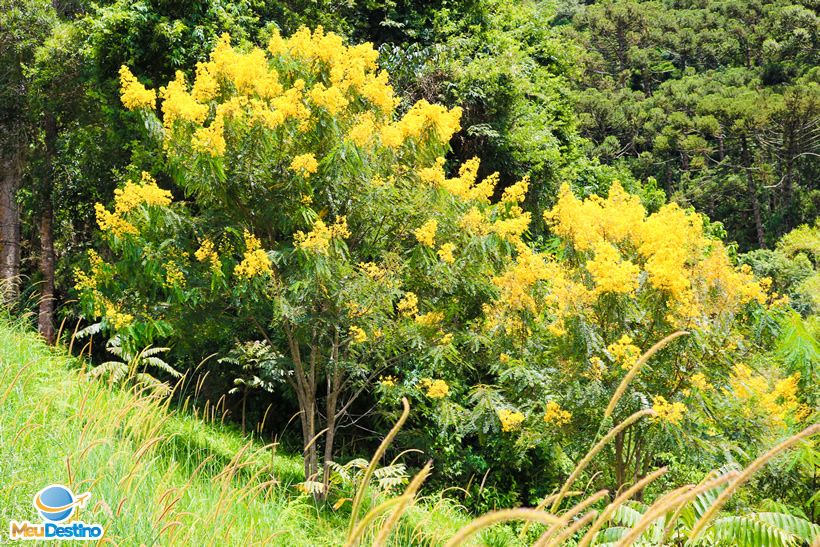 Cachoeira do Retiro - Gonçalves-MG