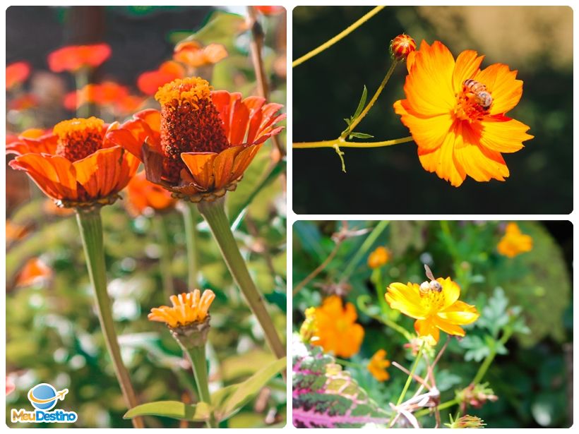 Gonçalves Ferreira - Itapecerica-MG