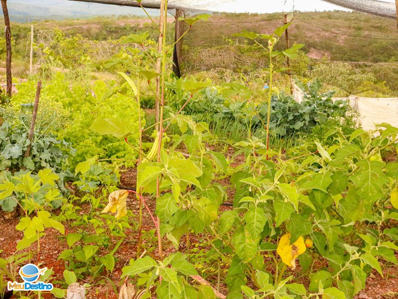 Recanto da Zezé - Três Marias-MG