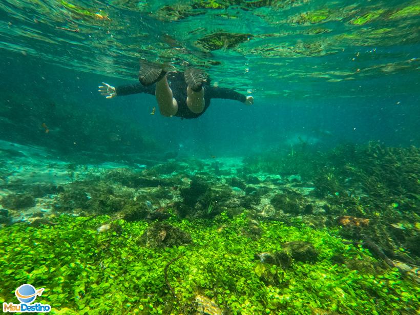 Flutuação no Rio Sucuri - Bonito-MS