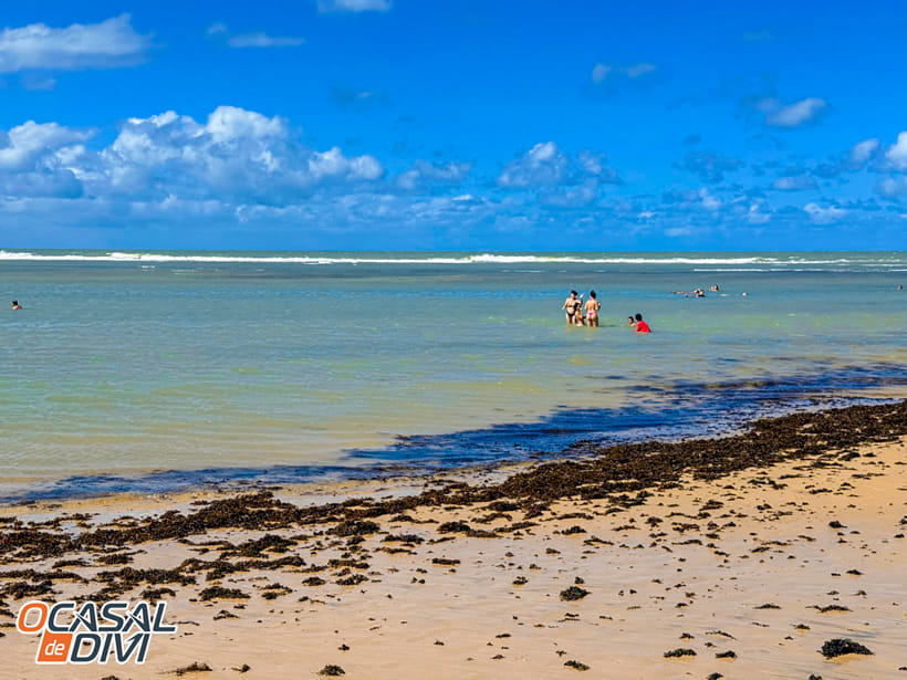 Alloha Beach Bar - Praia do Mucugê - Arraial D'ajuda - Bahia